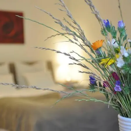 Mida Διαμέρισμα Φράιμπουργκ