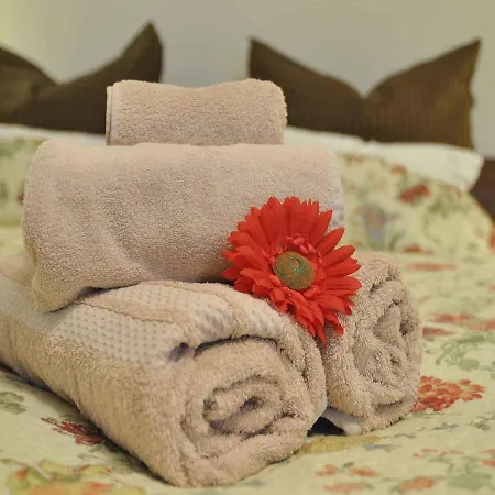 Mida Διαμέρισμα