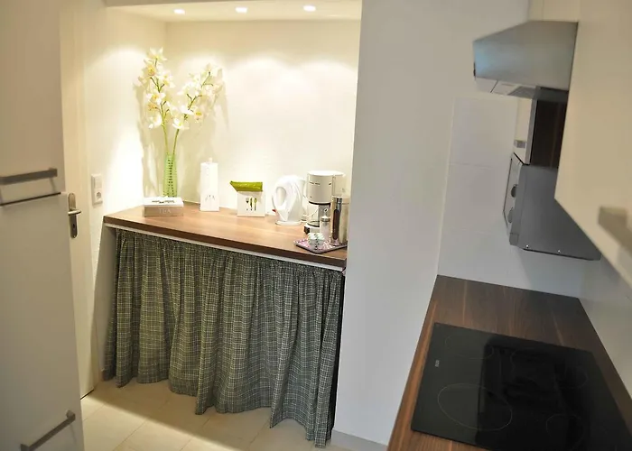 Mida 프라이부르크 임 브리스가우