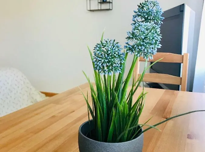 Mida Fryburg Bryzgowijski